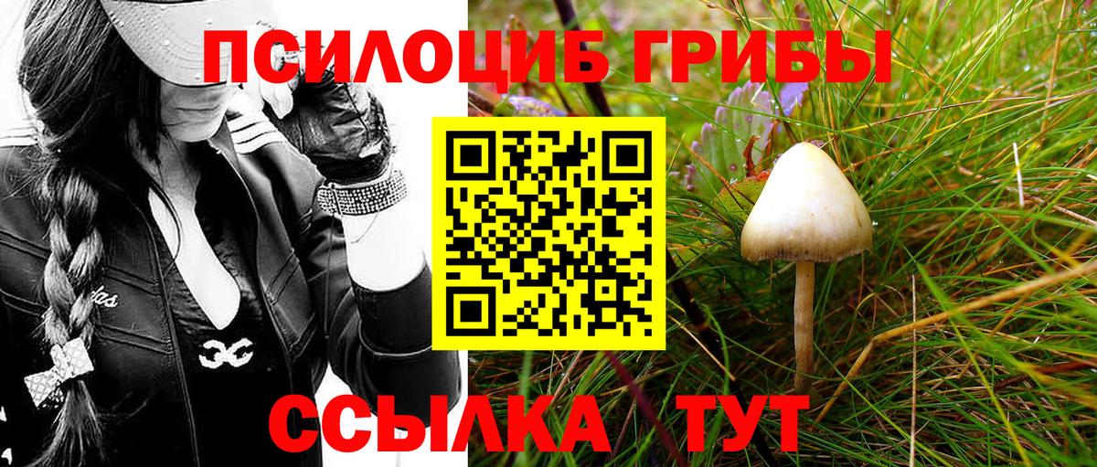 наркошоп  Вход с VPN  Йошкар-Ола  Галлюциногенные грибы Psilocybine cubensis 