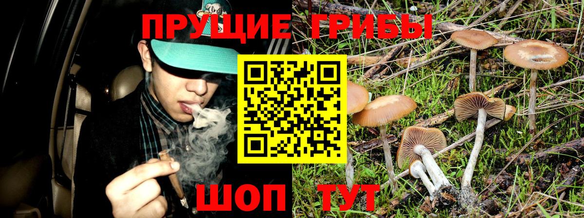Псилоцибиновые грибы мухоморы Йошкар-Ола